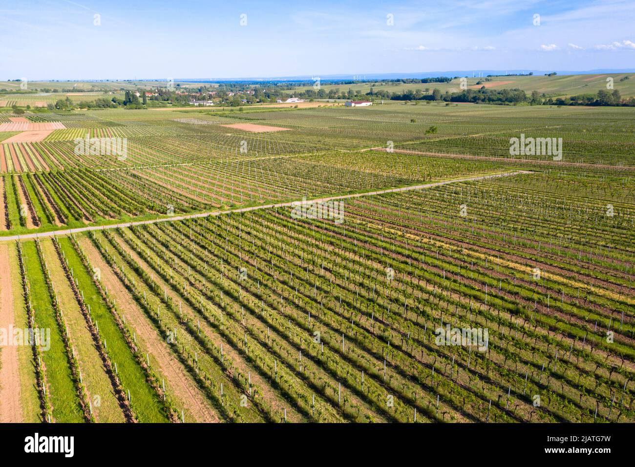 Luftaufnahme aus dem Naturschutzgebiet der kleine Kalmit. Wein- und Ferienort Ilbesheim. Deutsche Weinstraße, Weinbergpfalz Region. Stockfoto