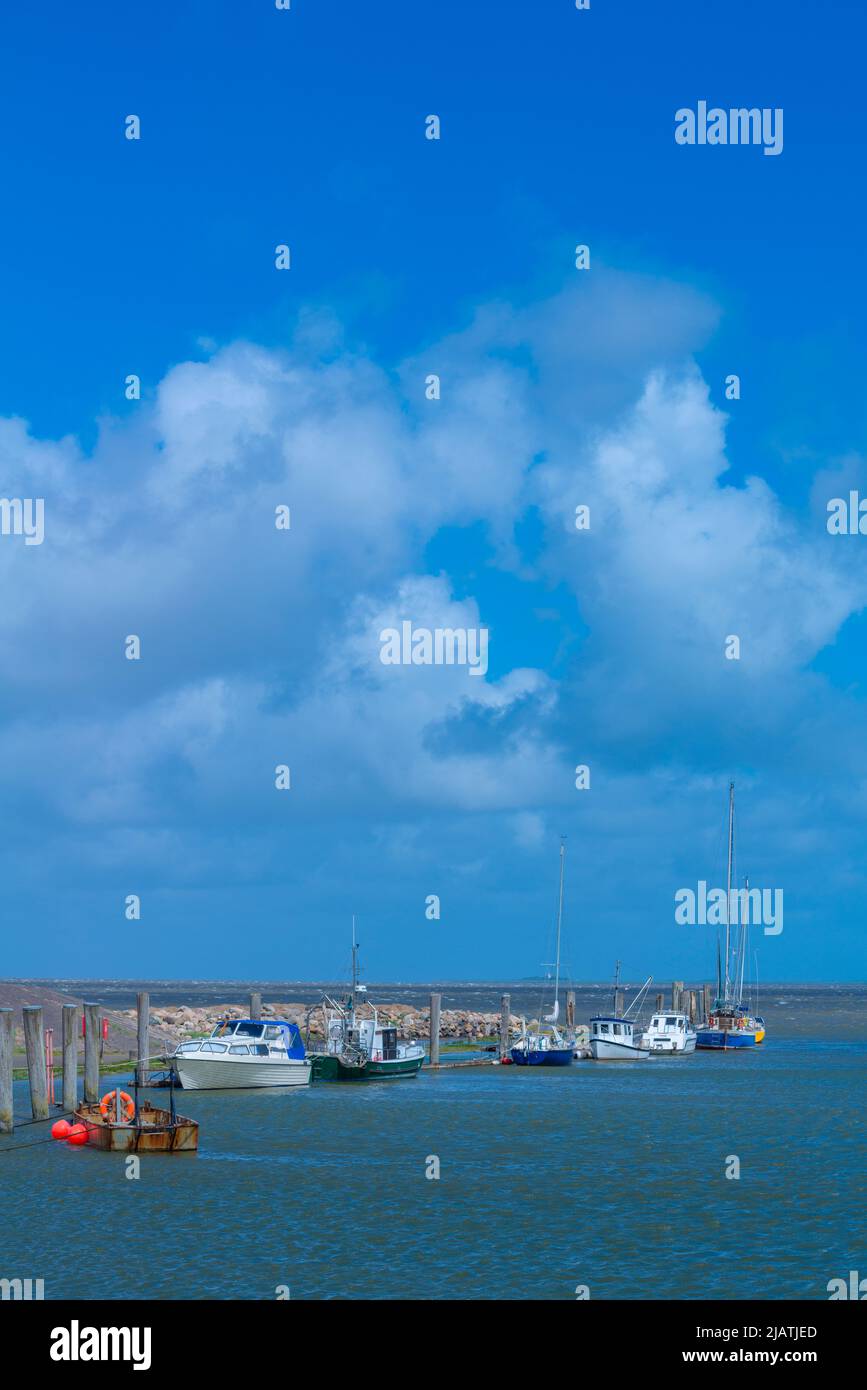 Everschop, Tetenbüll, Halbinsel Eiderstedt, Nordfriesland, Schleswig-Holstein, Norddeutschland Stockfoto