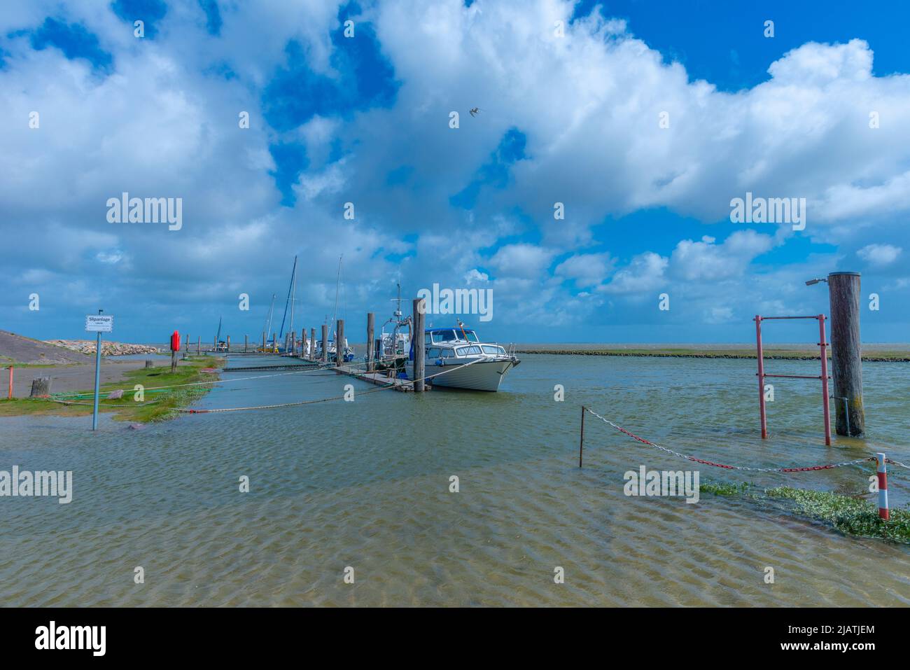 Everschop, Tetenbüll, Halbinsel Eiderstedt, Nordfriesland, Schleswig-Holstein, Norddeutschland Stockfoto