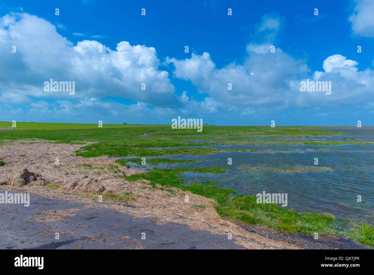 Everschop, Halbinsel Eiderstedt, Nordfriesland, , Schleswig-Holstein, Norddeutschland Stockfoto