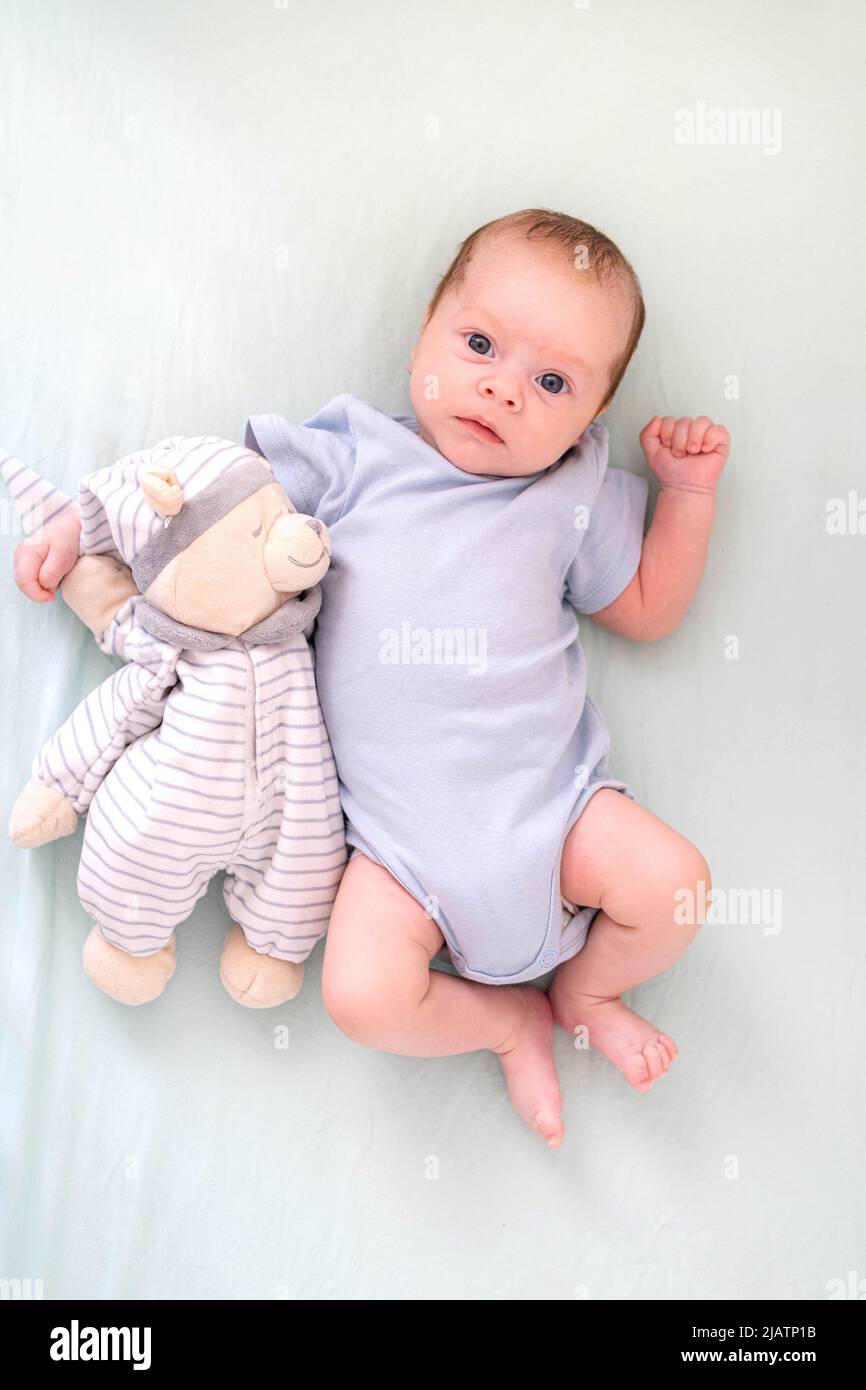 Neugeborener Junge 3 Monate alt liegt in Krippe Kinderkrippe mit blauer Kleidung auf dem Rücken mit Teddybär, schaut auf die Kamera, Baby-Produkte-Konzept, Mock up. Stockfoto