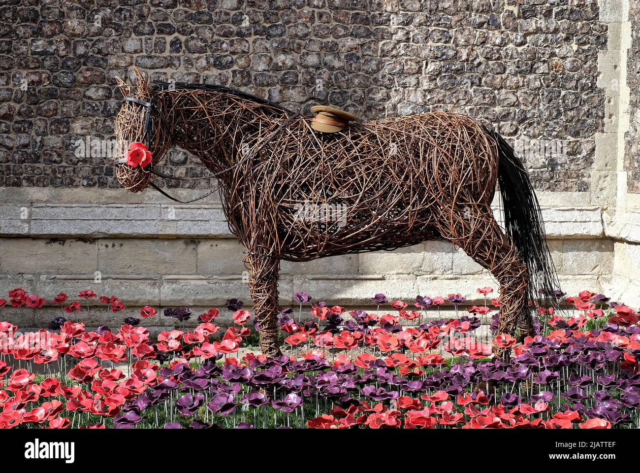 mohngedenkmal in der pfarrkirche von cromer, Nord-norfolk, england Stockfoto