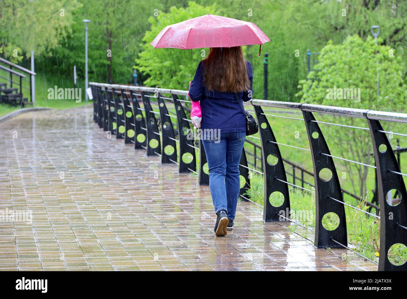 Starker Regen, Frau mit Regenschirm läuft im grünen Park am nassen Bürgersteig Stockfoto