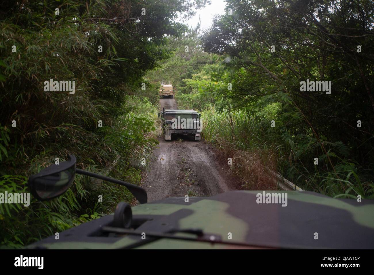 U.S. Marines with 3. Landing Support Bataillon, Combat Logistics Regiment 3, 3. Marine Logistics Group führt im Jungle Warfare Training Center, Okinawa, Japan, am 26. Mai 2022 einen Konvoi mit mitteltaktischen Fahrzeugumstellungen, hochmobilen Mehrzweckfahrzeugen mit Rollen und gemeinsamen leichten taktischen Fahrzeugen durch. 3. LSB führte Konvois mit simulierten Oppositionskräften durch, um sich auf zukünftige Operationen vorzubereiten und die Einsatzbereitschaft der Streitkräfte zu fördern. 3. MLG mit Sitz in Okinawa, Japan, ist eine nach vorne eingesetzte Kampfeinheit, die als umfassendes Logistik- und Kampfdienststützpunkt der III MEF für Operationen dient Stockfoto