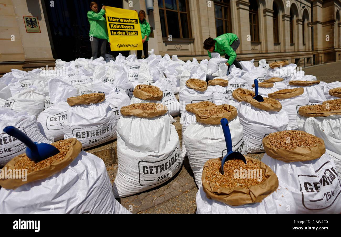 Greenpeace-Aktivisten protestieren vor dem Bundesverkehrsministerium in Berlin, 1. Juni 2022 gegen die Produktion von Biokraftstoff aus Getreide. REUTERS/Hannibal Hanschke Stockfoto