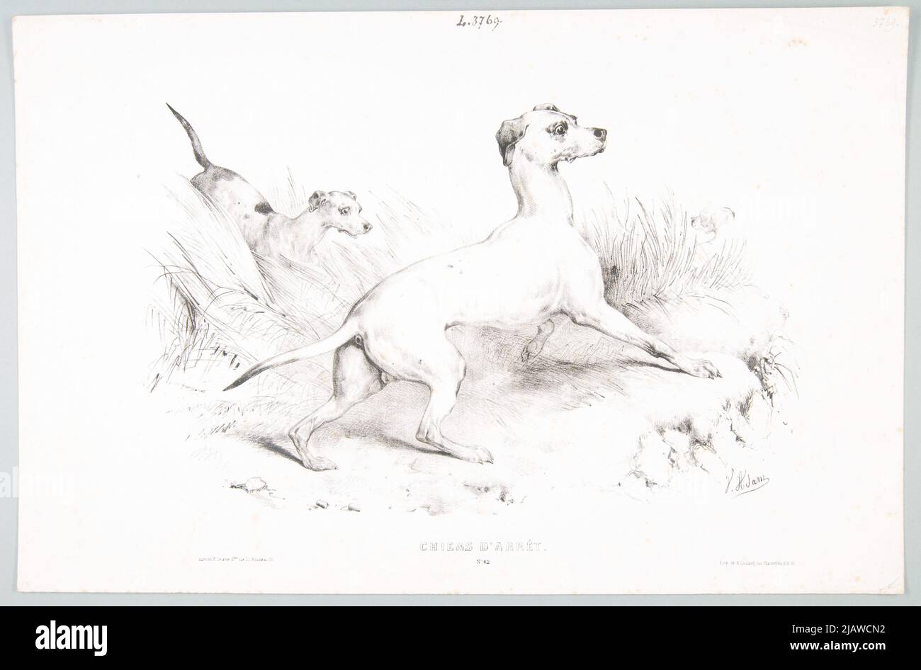 Arster Hunde (Hunde in Erwartung) Litographische Pflanze: Godard A. Delarue F., Adam, Victor Jean Vincent (1801 1866) Stockfoto