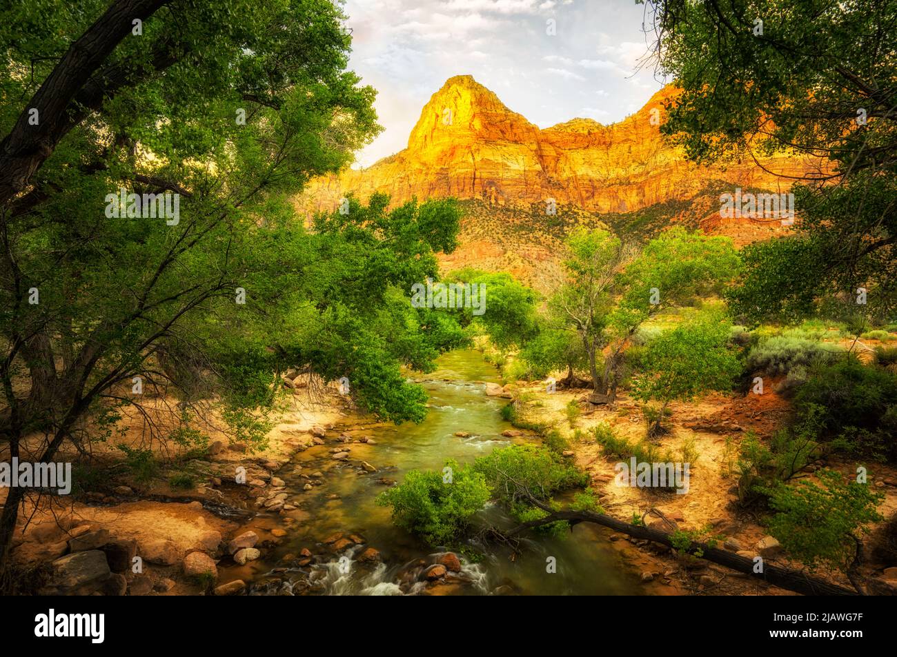 Virgin River und Peak mit Pappeln. Zion Nationalpark, UT Stockfoto