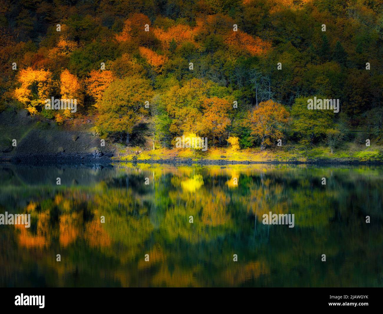 Kleiner See und Herbstfarbspiegelung in der Nähe des Colubmia River. Columbia River National Scenic Area, Washington Stockfoto