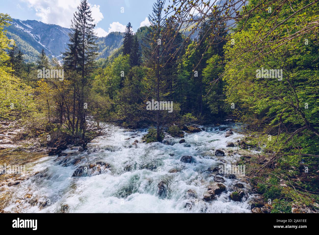 Cold Mountain Stream aus Wasserfall Savica, Fluss Sava in der Nähe von Lake Bohinj, Slowenische Alpen, Slowenien. Der Sava Bohinjka ist ein Oberlauf des Flusses Sava Stockfoto