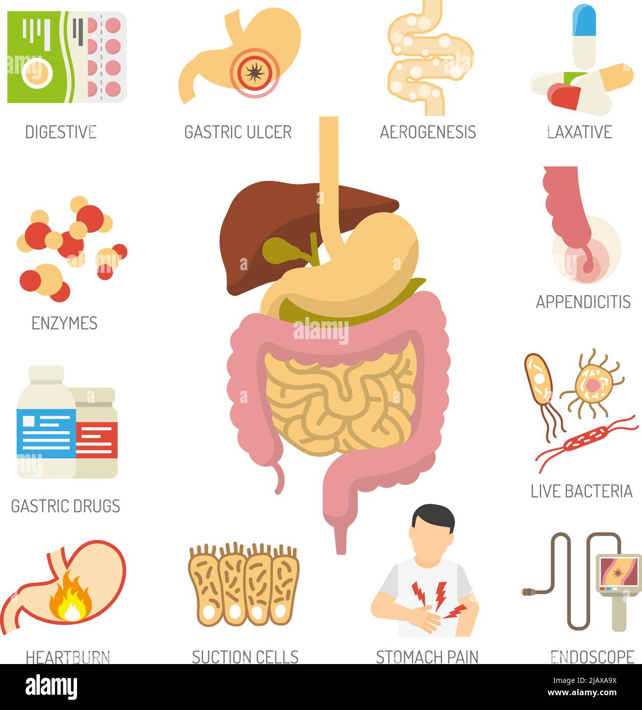 Symbole des Verdauungssystems mit Gesundheitsprobleme Symbole flach isoliert Vektor-Illustration gesetzt Stock Vektor