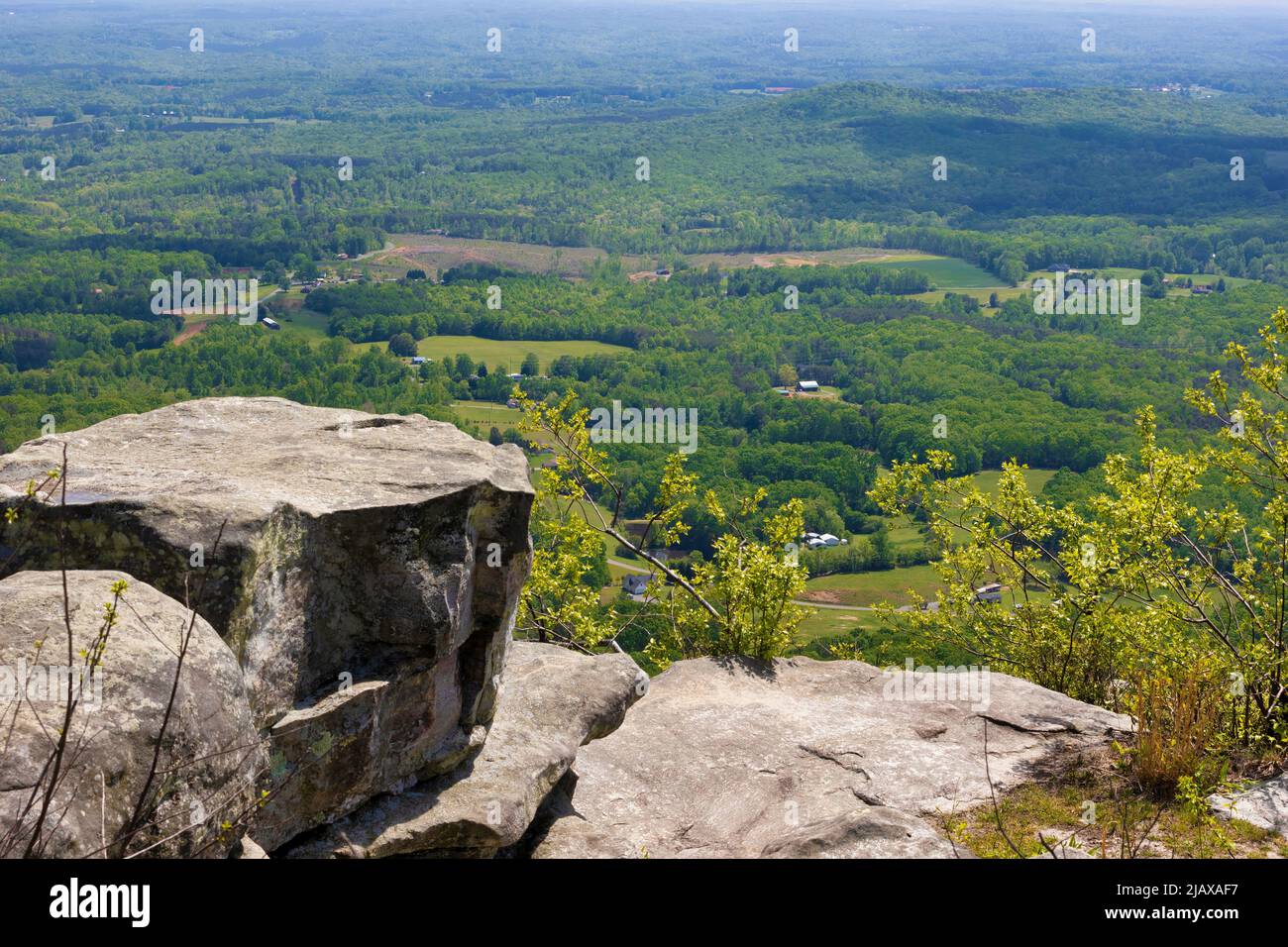 Die Pilot Mountains, 2421 Meter über dem Meeresspiegel, sind das, was von der alten Kette des Sauratown Mountain in North Carolina übrig geblieben ist. Stockfoto