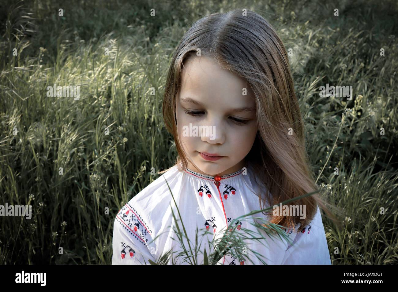 Porträt eines Mädchens in einem bestickten Hemd mit Dorn im Freien Stockfoto