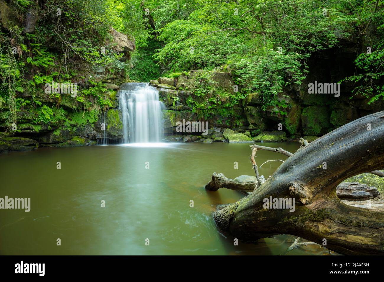 Thomason Foss ein malerischer Wasserfall zwischen den Dörfern Goathland und Beck Hole North York Moors National Park North Yorkshire England GB Stockfoto