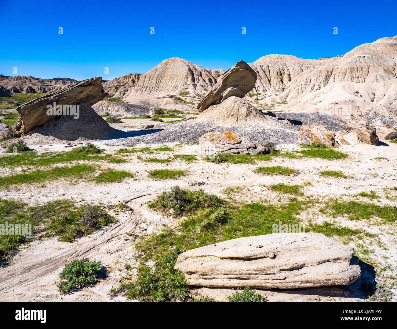 Felsformation in Toadstool geologic Park.in das Oglala National Grasland. In der Nähe von Crawford Nebraska Stockfoto