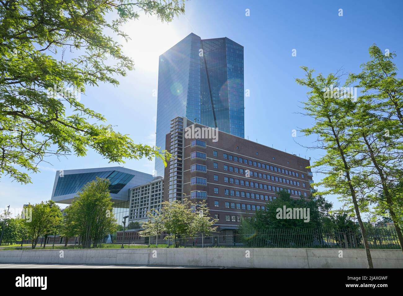 Europäische Zentralbank EZB, Hauptgebäude, Zentrale, Sonnemannstraße, Ostend, Frankfurt am Main, Hessen, Deutschland Stockfoto