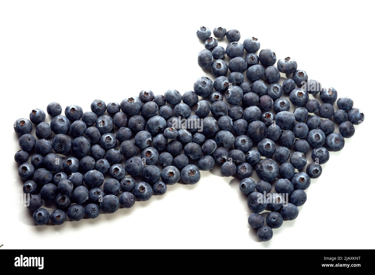 Frische Heidelbeeren Pfeilzeiger bilden isoliert auf weißem Hintergrund. Stockfoto