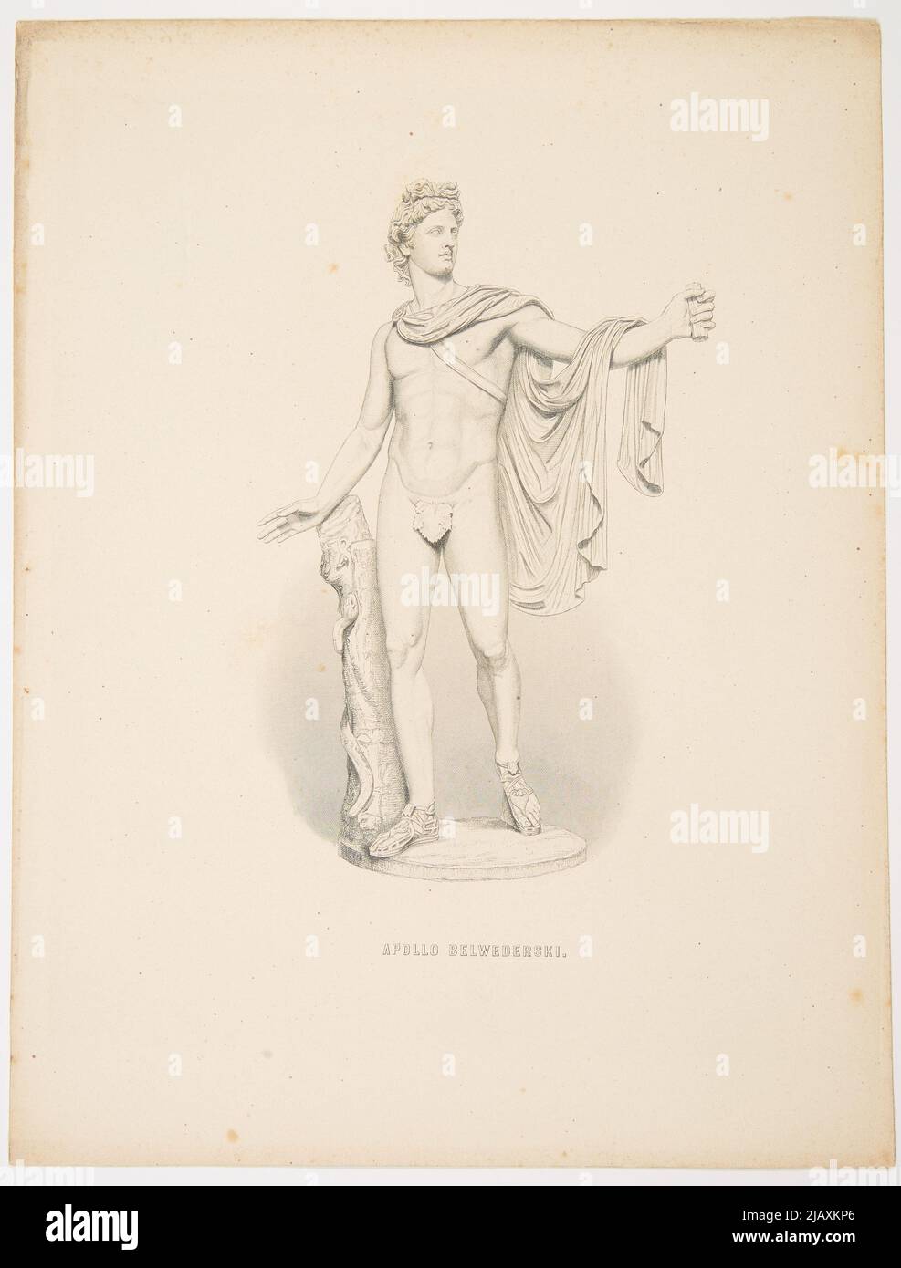 Apollo Belwederski (Skulptur aus den Sammlungen der Vatikanischen Museen (Museo Pio Clementino), eine römische Kopie des 2.. Jahrhunderts n. Chr., nach dem griechischen Original aus dem 4.. Jahrhundert v. Chr., Werke von Leochares). Unbekannt Stockfoto