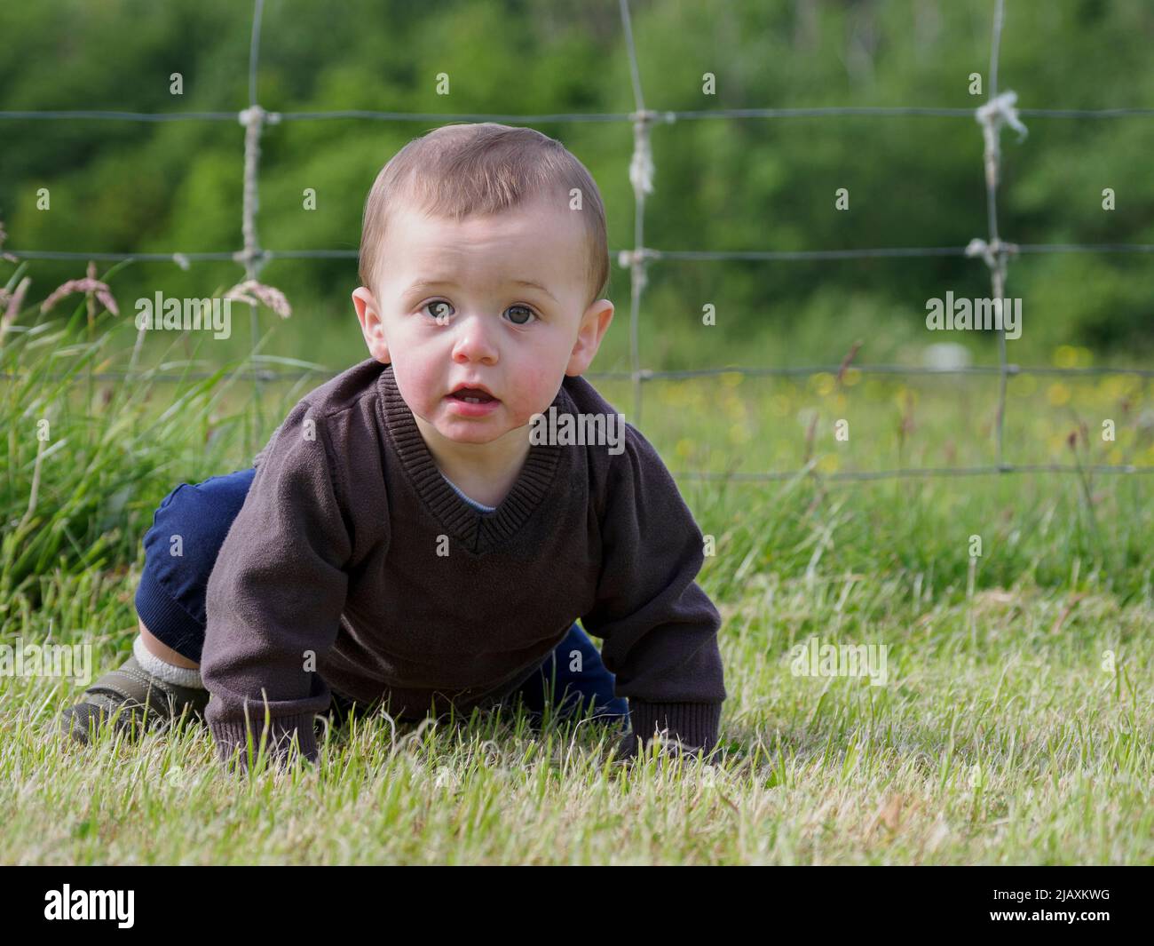 Ein einjähriger Junge kriecht auf Gras, Cornwall, Großbritannien Stockfoto