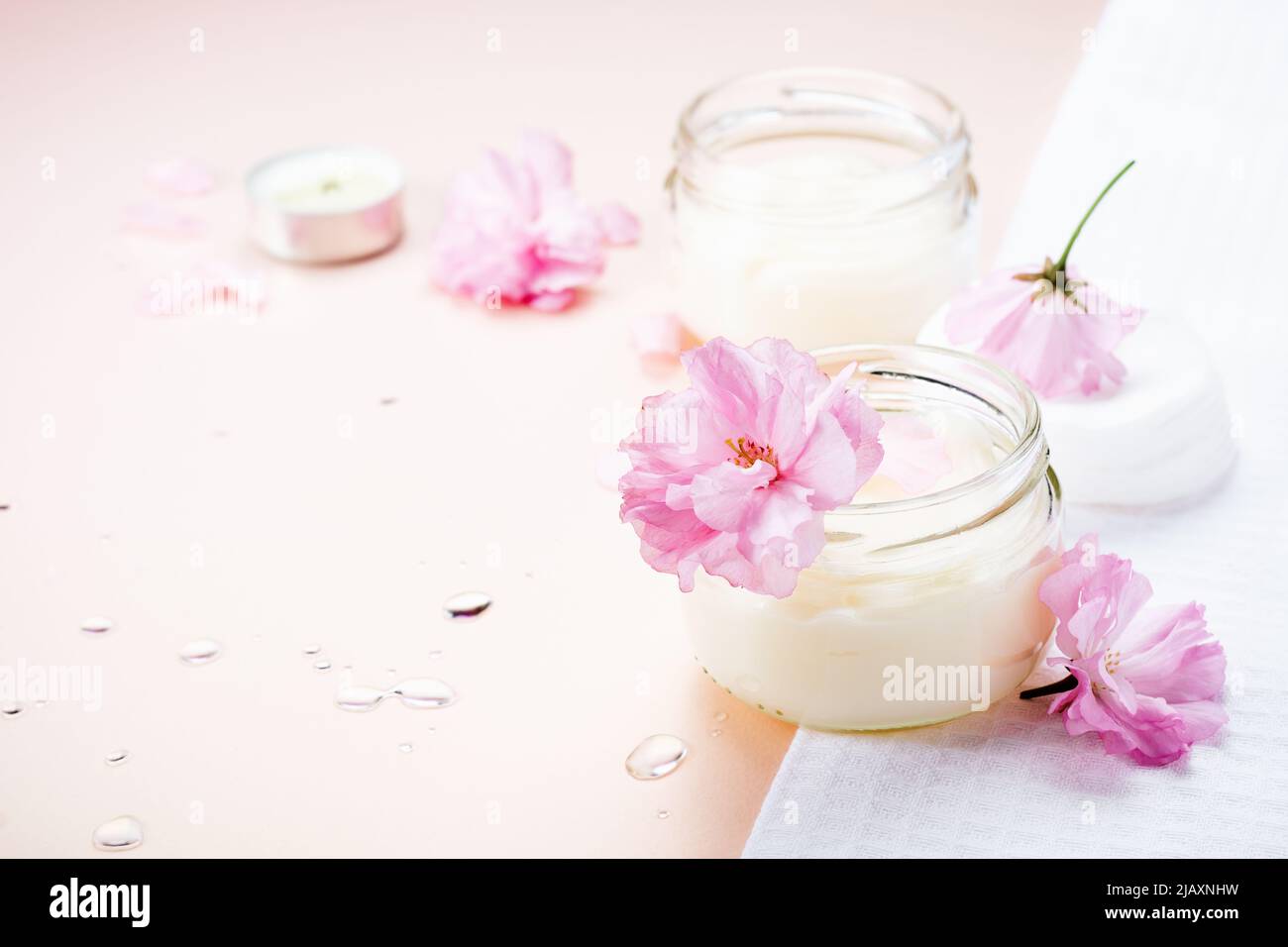 Natürliche Körperpflege Creme und rosa Kirschblüten. Kosmetisches Produkt. Stockfoto