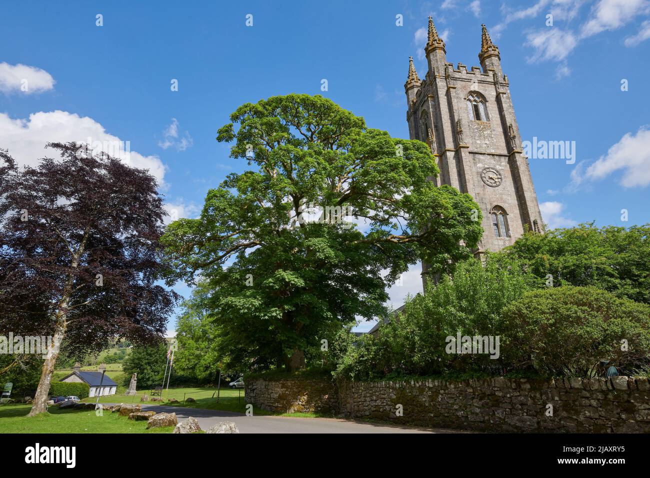 UK Wetter: Rodungen durch den Dartmoor National Park, Devon Stockfoto