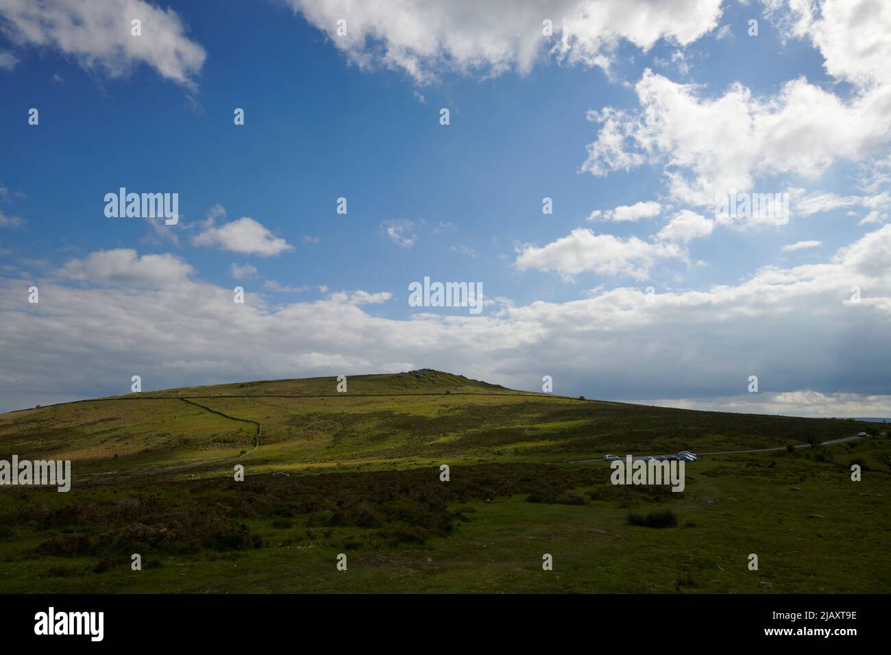 UK Wetter: Rodungen durch den Dartmoor National Park, Devon Stockfoto