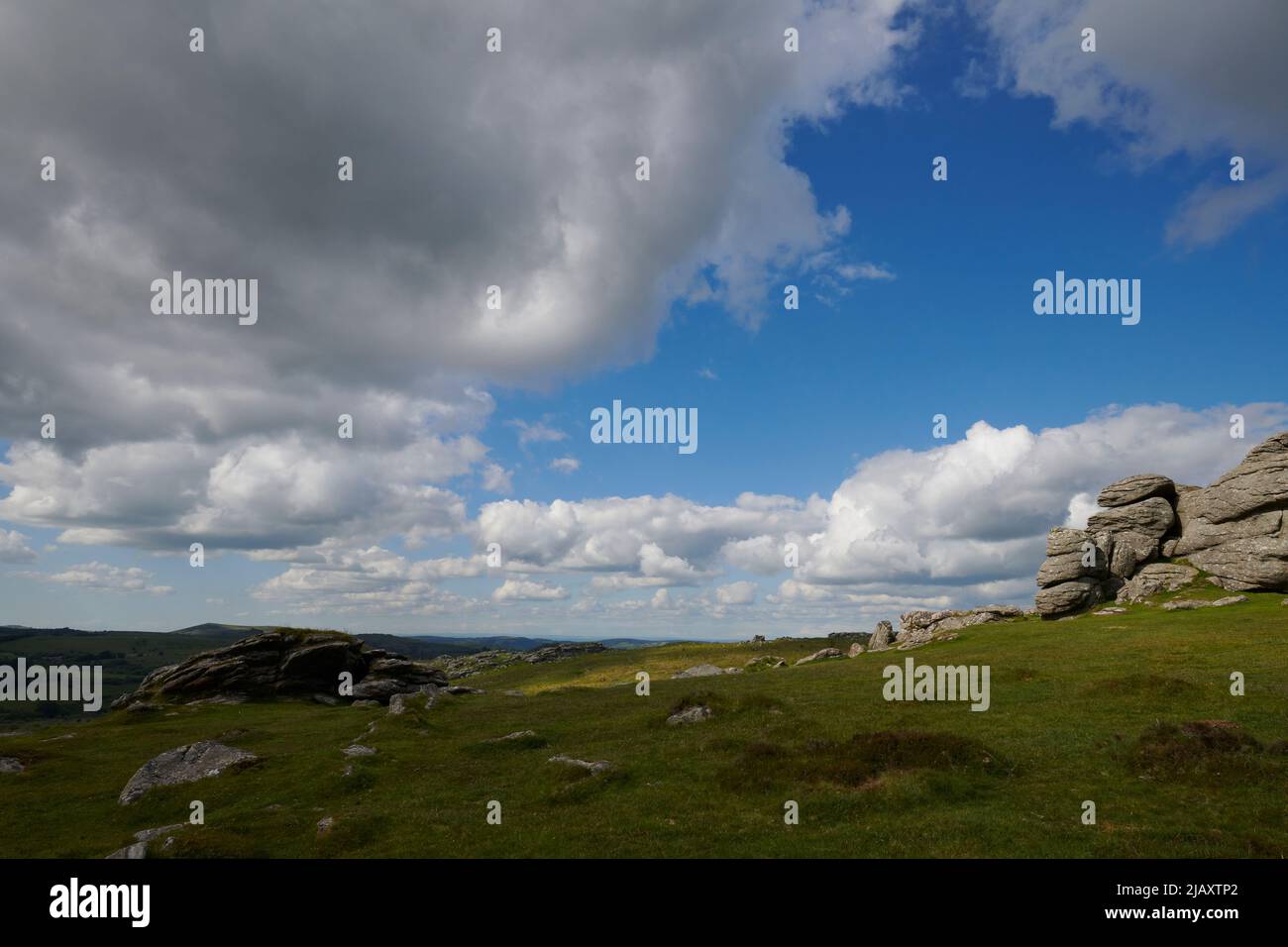 UK Wetter: Rodungen durch den Dartmoor National Park, Devon Stockfoto