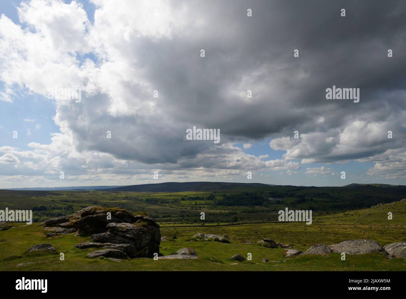 UK Wetter: Rodungen durch den Dartmoor National Park, Devon Stockfoto
