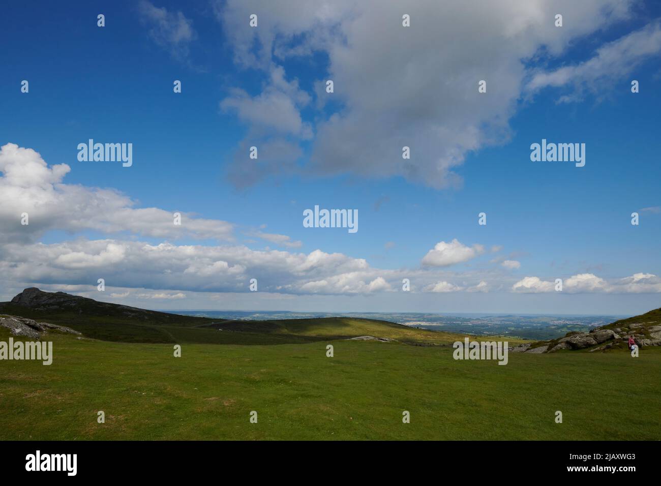 UK Wetter: Rodungen durch den Dartmoor National Park, Devon Stockfoto