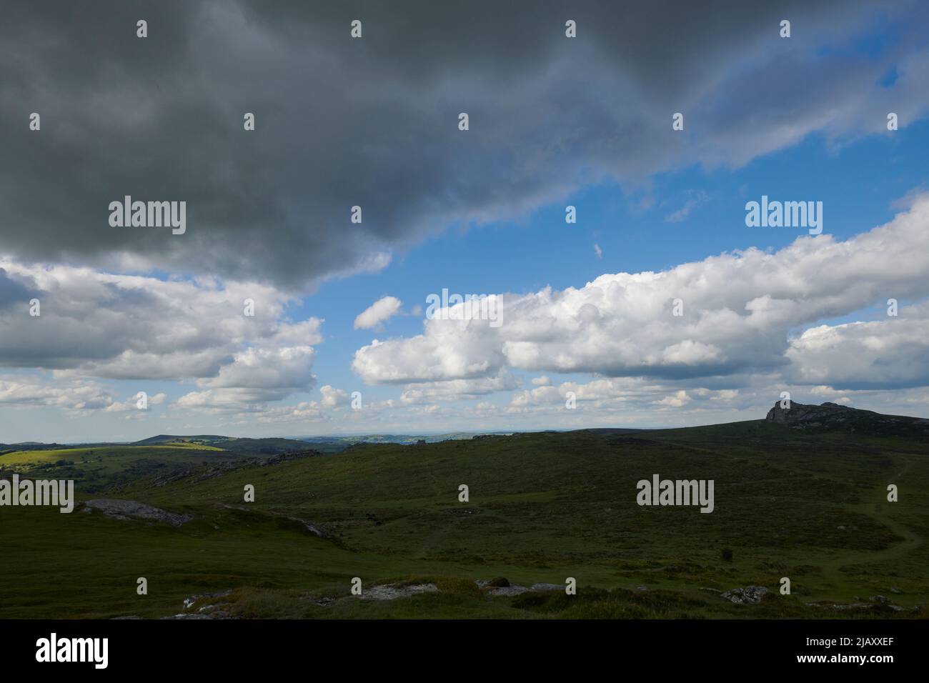 UK Wetter: Rodungen durch den Dartmoor National Park, Devon Stockfoto