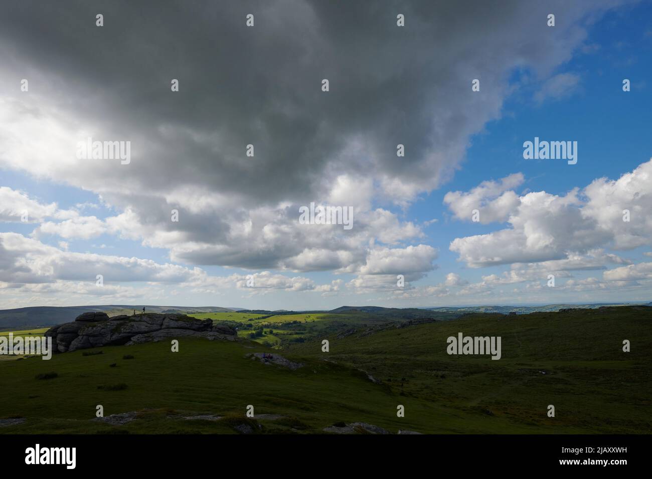 UK Wetter: Rodungen durch den Dartmoor National Park, Devon Stockfoto
