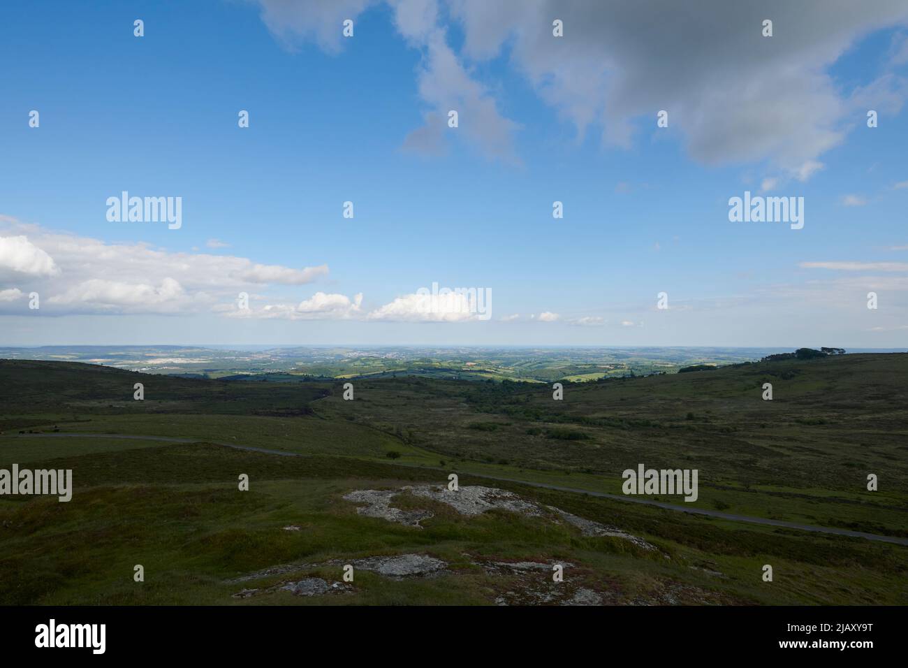 UK Wetter: Rodungen durch den Dartmoor National Park, Devon Stockfoto