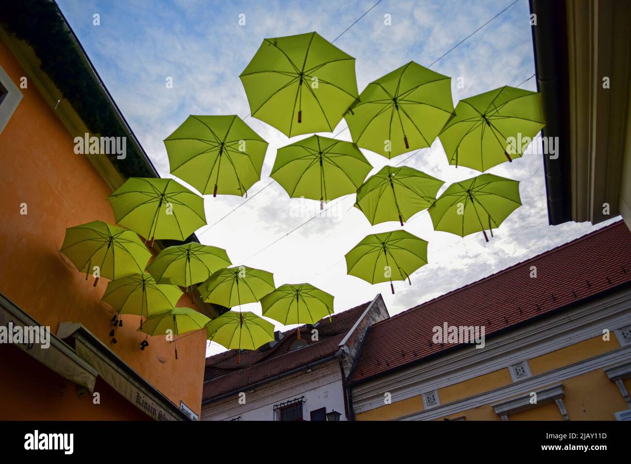 Regenschirme schmücken die Straßen von Szentendre, einer Stadt am Flussufer im Kreis Pest, Ungarn, Stockfoto