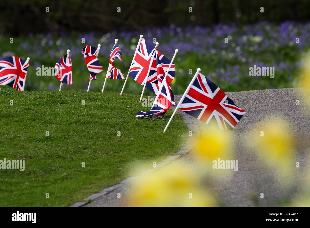Vereinigtes Königreich Union Jack Flaggen Linie Kante des Grases für britische Sommerfete Stockfoto