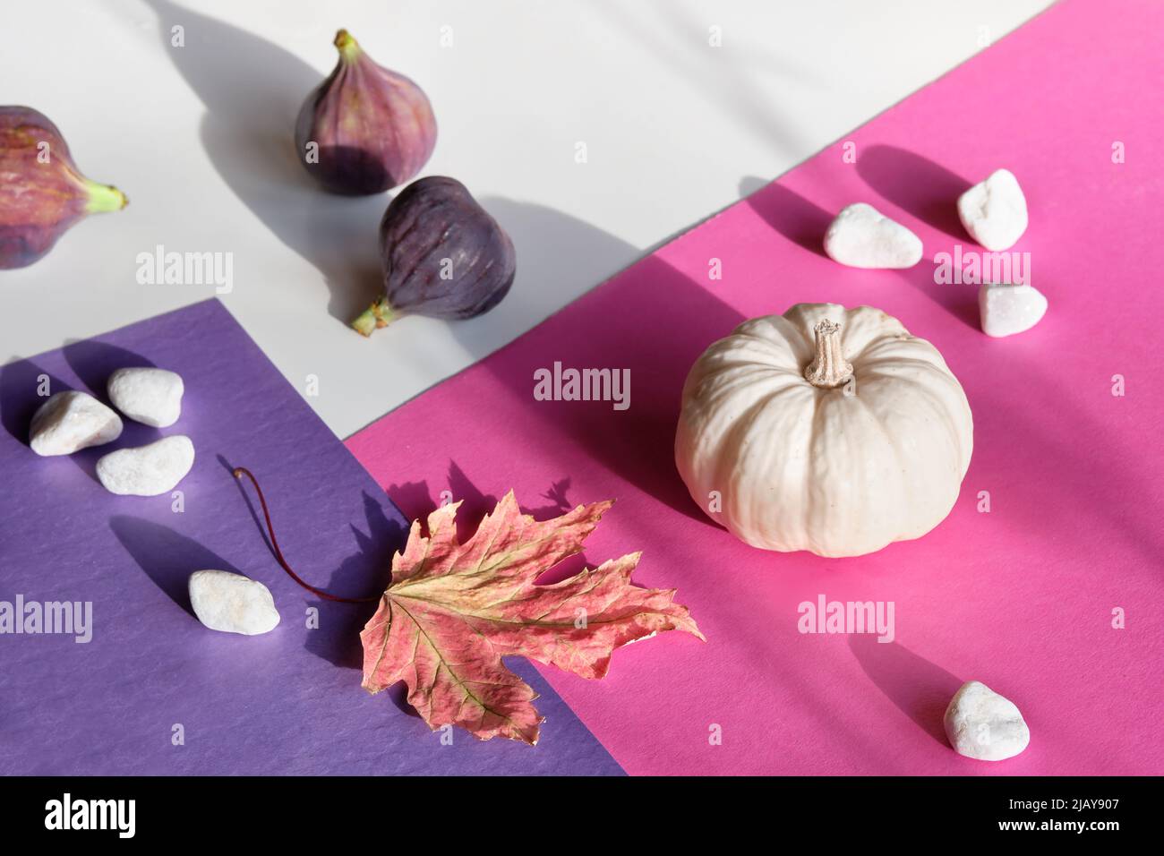 Pinkfarbenes Papier mit Hintergrund und Herbstdekor. Monochromatischer Look mit rosa Kürbissen und trockenen Herbstblättern. Stockfoto