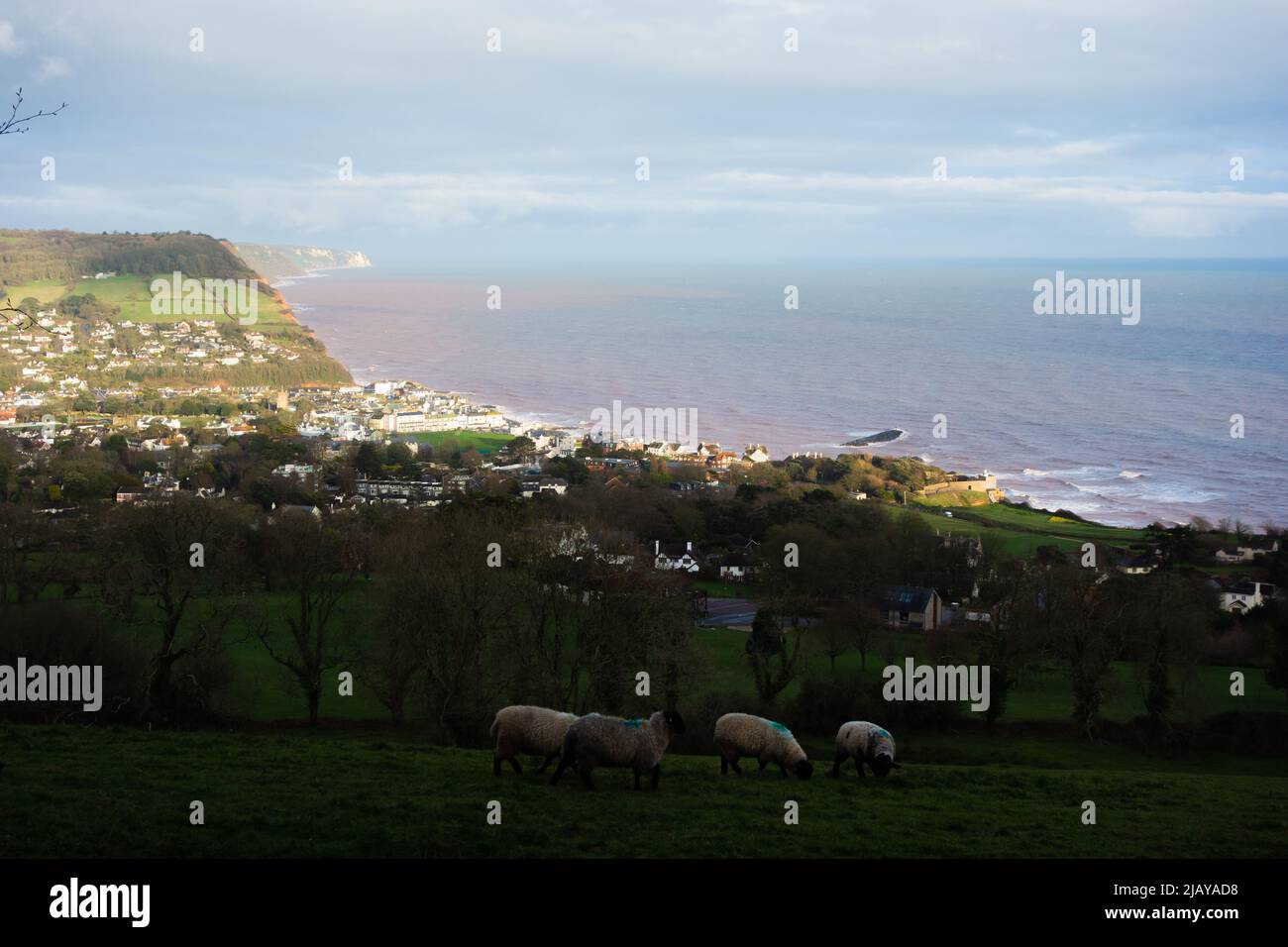 SIDMOUTH, Großbritannien - 6. März 2019 die Küstenstadt vom Peak Hill aus gesehen, mit Blick auf die Stadt mit hellgrauen Wolken im Hintergrund Stockfoto