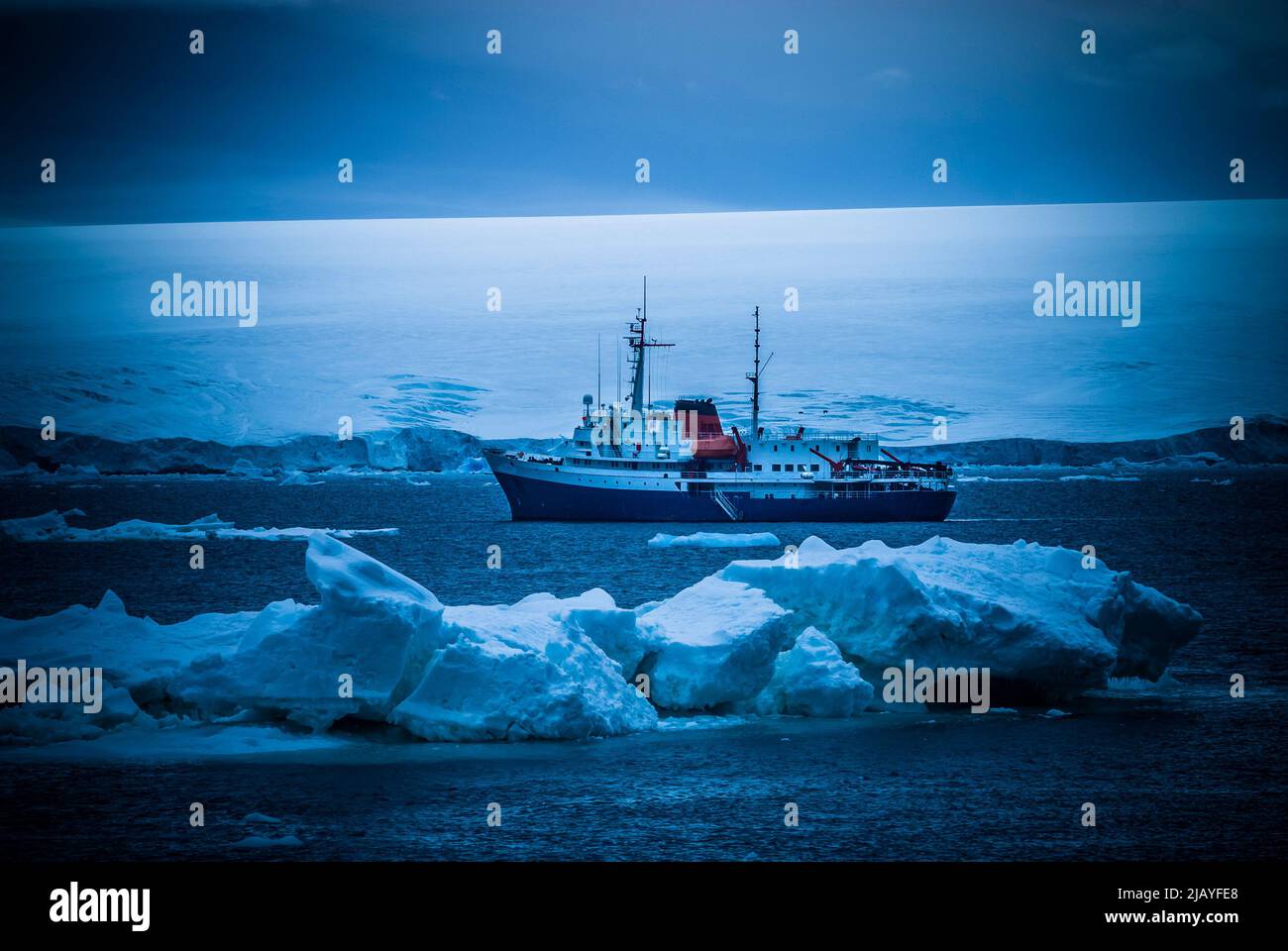 Antarktische Kreuzfahrt in antarktischen Gewässern, Antarktische Halbinsel. Stockfoto
