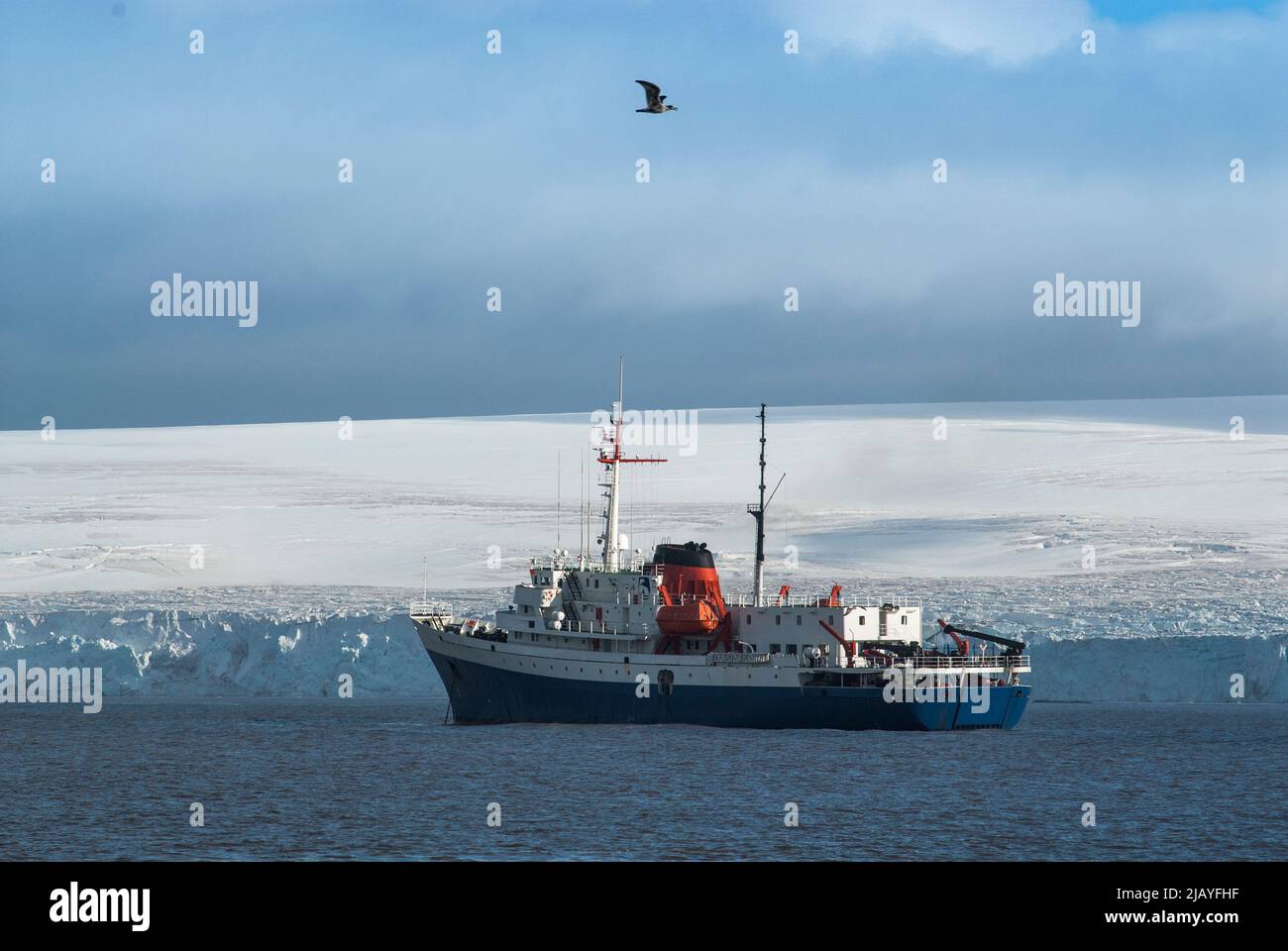 Antarktische Kreuzfahrt in antarktischen Gewässern, Antarktische Halbinsel. Stockfoto