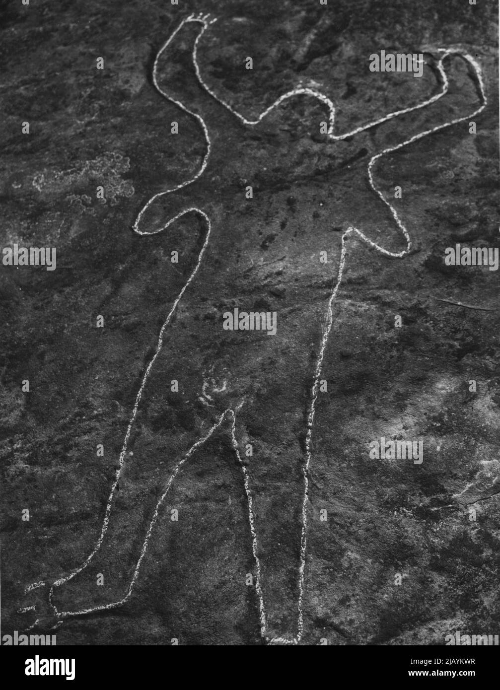 Durch die Buschgebiete von Sydney verstreut ist eine verblassende Gruppe von Schnitzereien, die nie ersetzt werden können. Sie wurden von langen - toten Aborigines gemacht. Nur wenige Männer, weiß oder schwarz, wie sie gemacht wurden: Keiner weiß genau, was sie gemeint haben. Die Schnitzereien selbst, auf weichem Sandstein. Tragen sich ab. Die meisten Anthropologen, die Angst vor Vandalismus haben, reden nicht gerne über den Ort von Aborigines-Schnitzereien. Nur wenige Menschen außer Buschwanderern haben sie gesehen. Andere Studenten glauben, dass richtige Hinweise und Geländer Vandalismus verhindern würden und den Menschen in Sydney eine neue Attraktion im Busch geben würden. 19. November 1948. Stockfoto