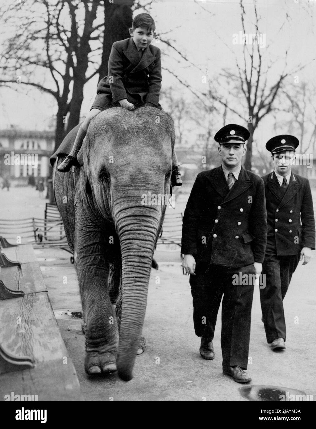 Prinz Michael, Sohn der Herzogin von Kent, war wie alle anderen Jungen daran interessiert, auf dem Elefanten zu reiten. Er ging mit seiner Mutter in den Londoner Zoo und bewies durch seine Begeisterung, dass er ein echter Tierliebhaber war. 27. Februar 1950. (Foto von Paul Popper Ltd.). Stockfoto