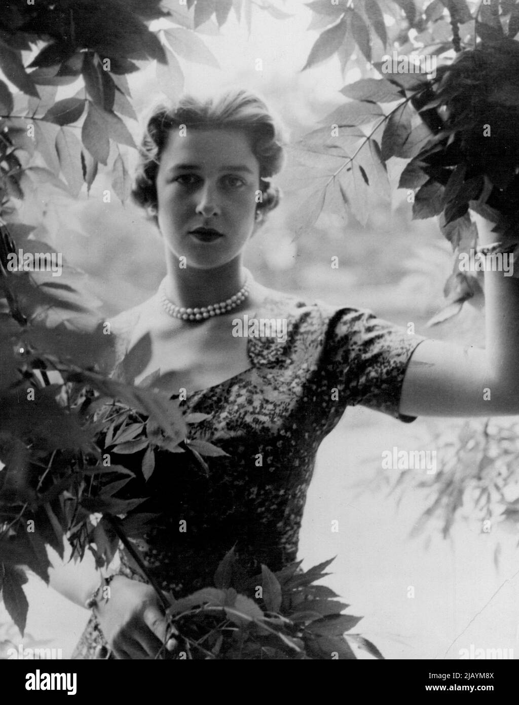 S.R.H. Prinzessin Alexandra -- Ein neues Porträt ihrer königlichen Hoheit Prinzessin Alexandra von Kent, aufgenommen von Cecil Beaton im Kensington Palace, London. H.R.H. trägt ein blau geblümtes Seidenkleid und eine Perlenkette mit doppelter Kordel und ein Charm-Armband. 15. August 1955. (Foto von Paul Popper, Paul Popper Ltd.) Stockfoto