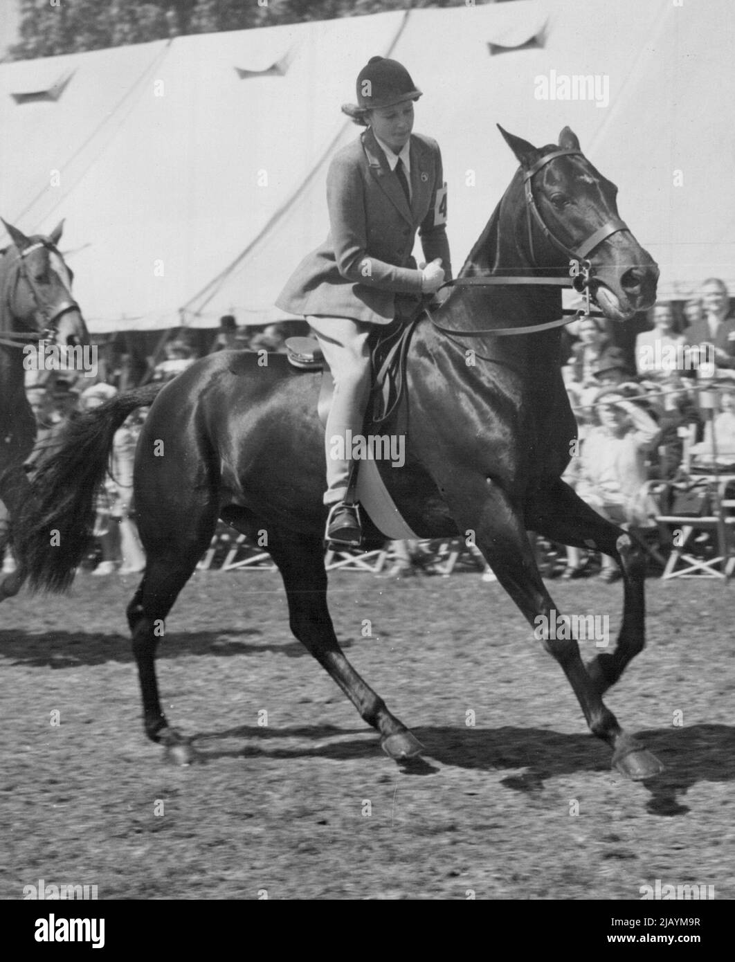 A Princess Rides -- Prinzessin Alexandra, die Tochter der Herzogin von Kent, der Ehrengast, reitet ihr Pony „vertrauensvoll“ in der abschließenden Beurteilung des Child's Pony Wettbewerbs der Royal Windsor Horse Show, die heute im Home Park von Windsor Castle stattfindet. Heute ist die dritte und letzte Session der Show. 13.Mai 1950. (Foto von Reuterphoto) Stockfoto