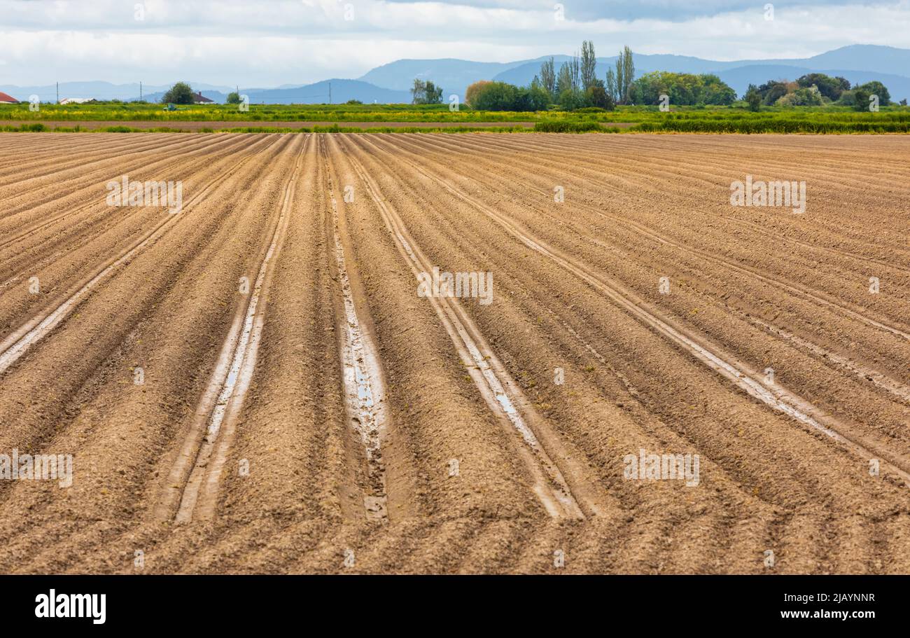 Agrarbereich. Im Frühjahr in Kanada landen Pflüge mit gepflanzten Kartoffeln. Selektiver Fokus, niemand, Textzynowlespace für Text Stockfoto