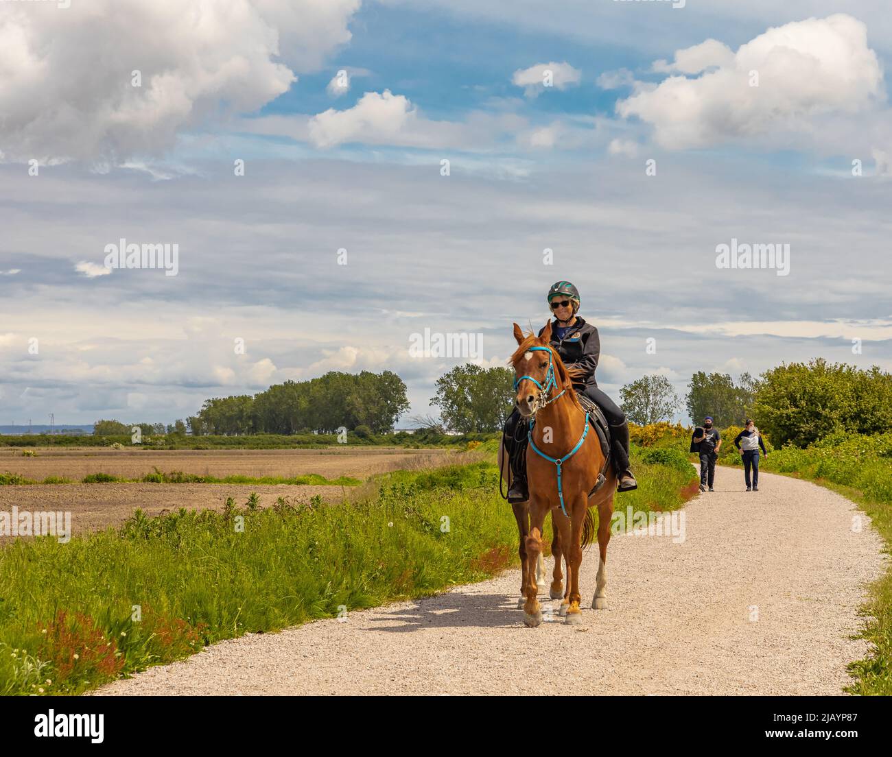 Eine Frau, die auf einem Pferd reitet. Dressurreiterin Frau auf Pferd im Park. Pferdesportlerin. Straßenfoto, selektiver Fokus, Editorial-Mai 29,2022-Vancouvere Stockfoto