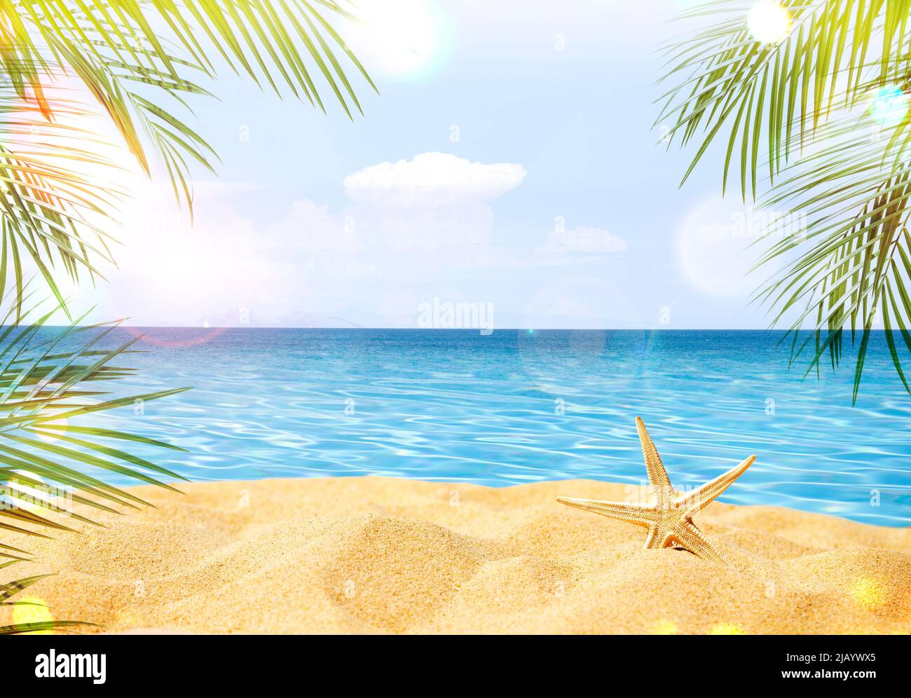 Sommerhintergrund mit einem Seestern auf Sand Stockfoto