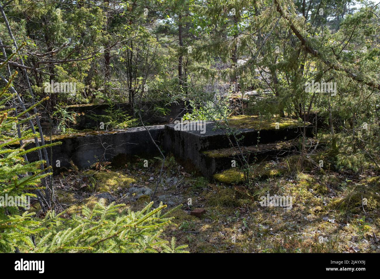 Fredrikstad, Norwegen - 20. Mai 2022: Torgauten Fort ist ein ehemaliges deutsches Fort. Das Fort sollte Glommas westlichen Eingang zu Fredrikstad abdecken. Sonnige Sprotte Stockfoto