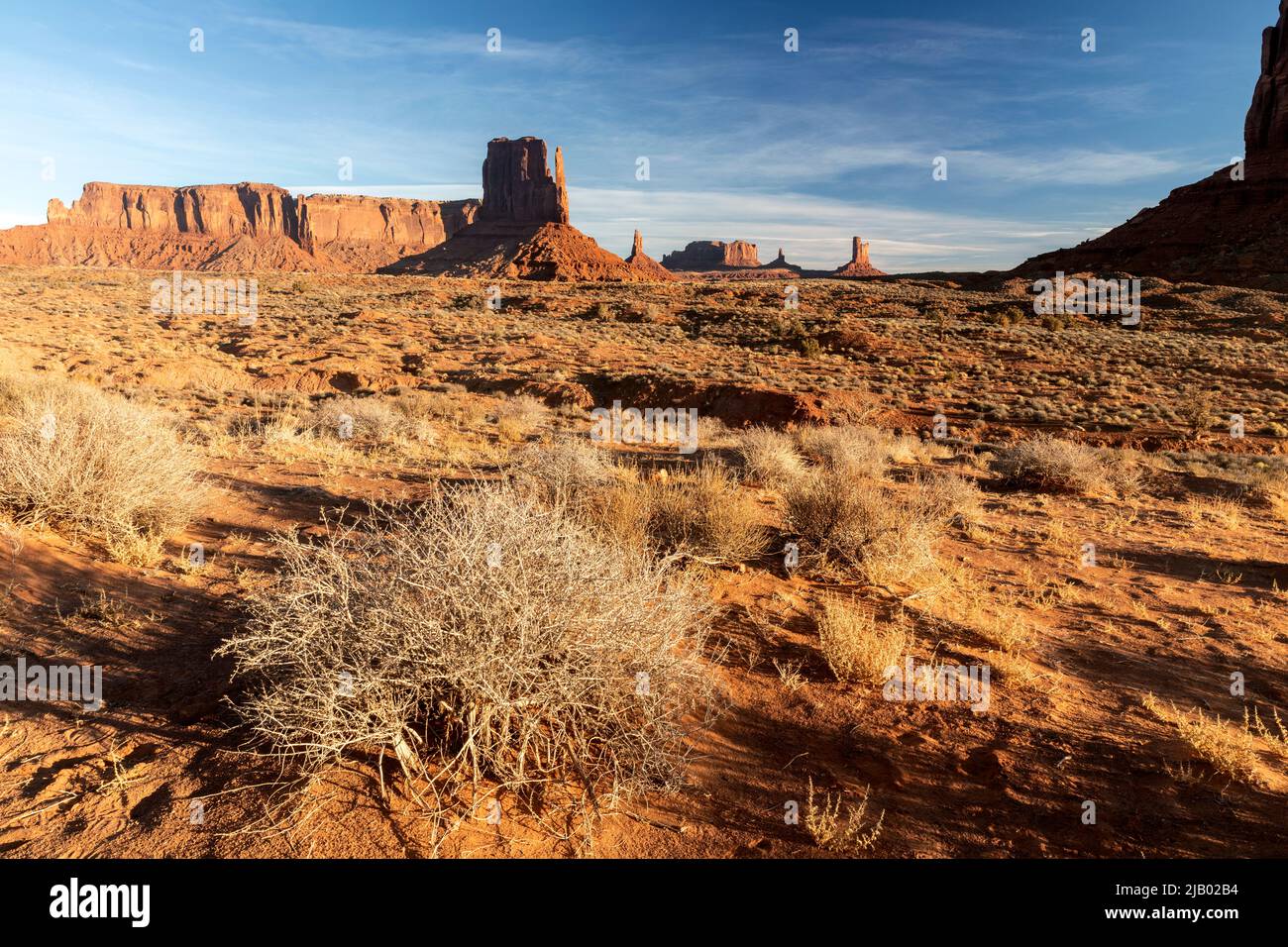 AZ00421-00....ARIZONA - Sandsteinbutten im Monument Valley Navajo Tribal Park. Stockfoto