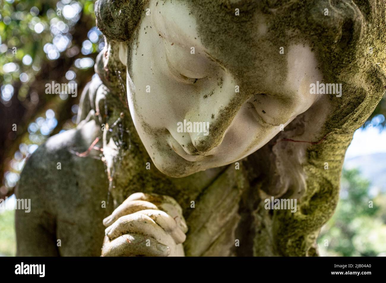 Statue Detail in Wakapuaka Cemetery Nelson, Neuseeland. 02/2015 Stockfoto