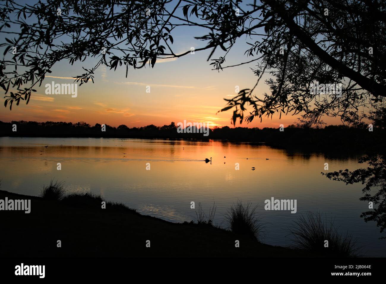Sonnenuntergang Im Kingsbury Waterpark, Warwickshire Stockfoto