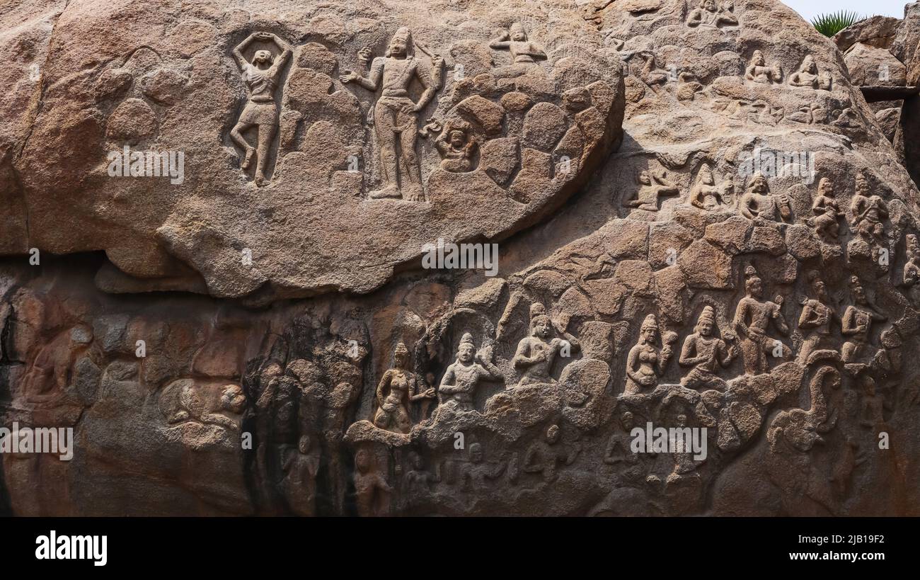 Alte Felsskulpturen namens Arjuna's Penance, gefunden im 1.. Jahrhundert v. Chr. in der Nähe von Mahabalipuram, Tamilnadu, Indien Stockfoto