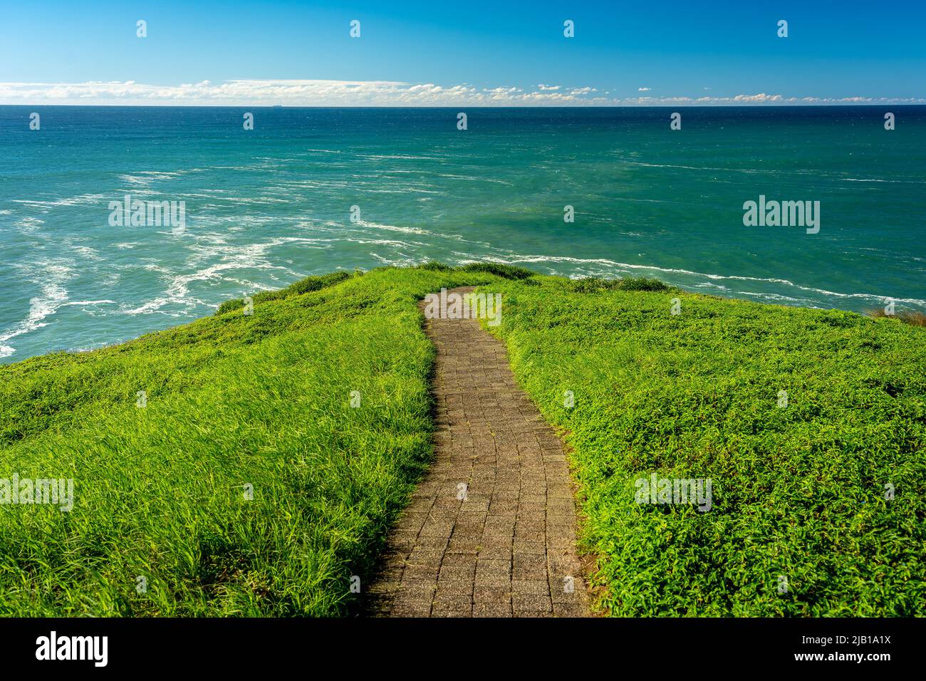 Wanderweg auf dem Gipfel des Muttonbird Island Nature Reserve in Coffs Harbour, NSW, Australien Stockfoto